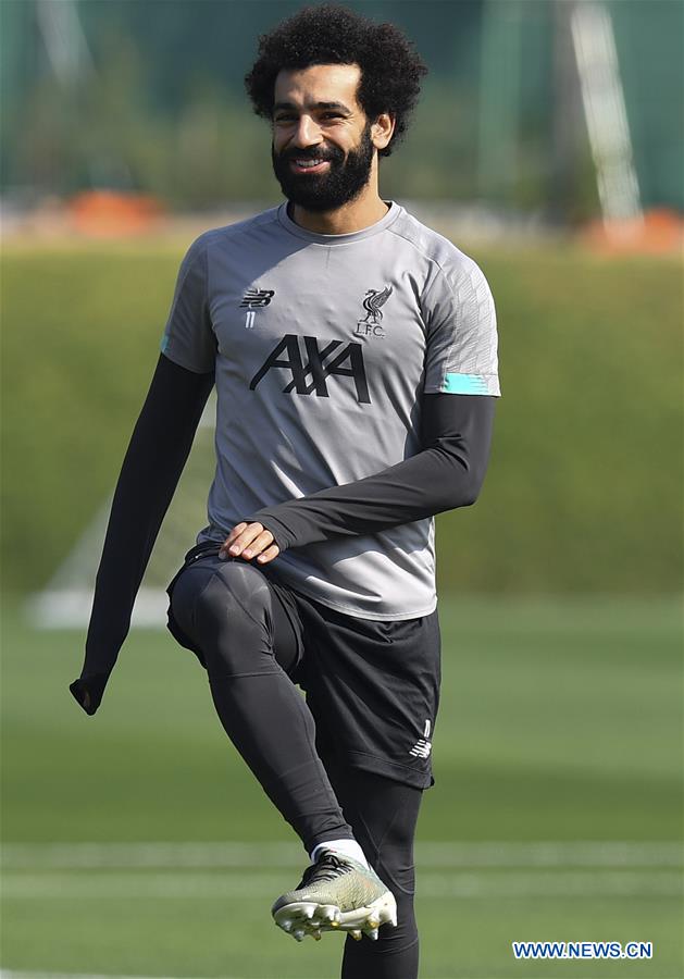 侏羅紀寵物曆險記：重返野外 视频截图