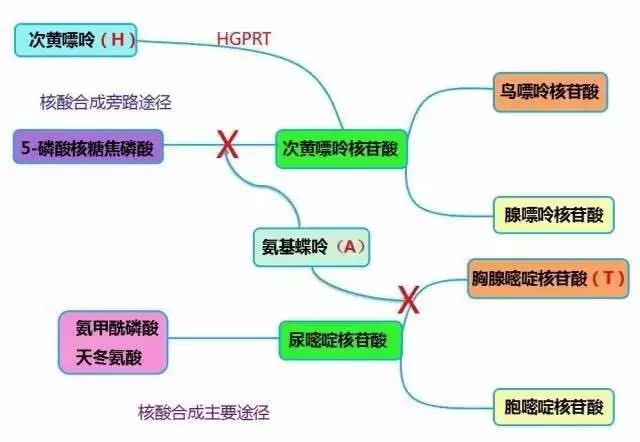 偵探拍檔 视频截图