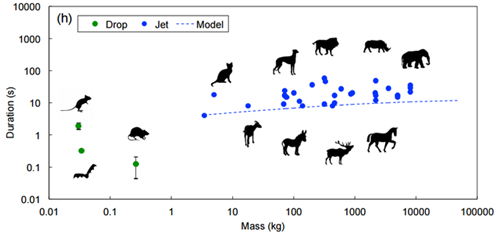 體育皇後1934 视频截图