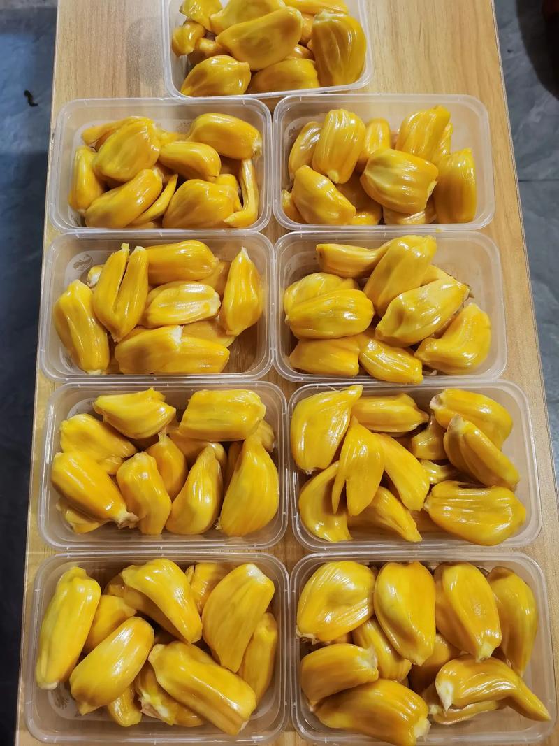 喬基：德裏怒火