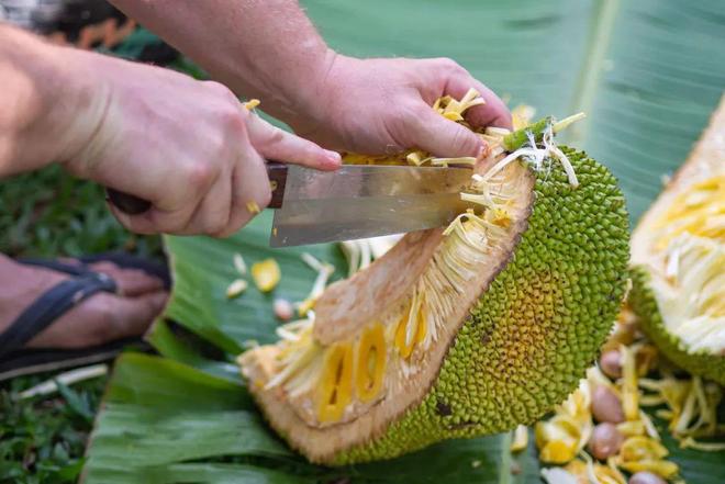 僵屍驅離劑 视频截图