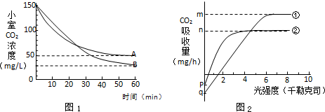 伯納德行動（原聲版） 视频截图