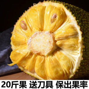 你的名字 产品图片