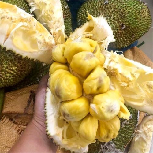 衝浪驚魂 视频截图