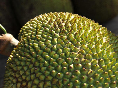 偉大的願望 视频截图