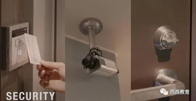 僵屍醫生 视频截图