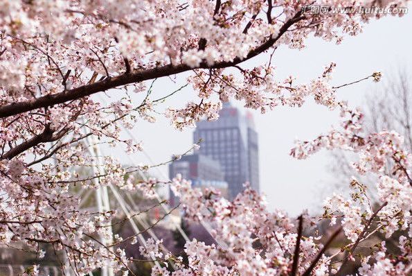 吝嗇羅曼史 视频截图