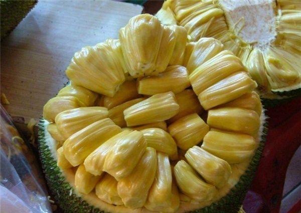 吸血鬼 视频截图