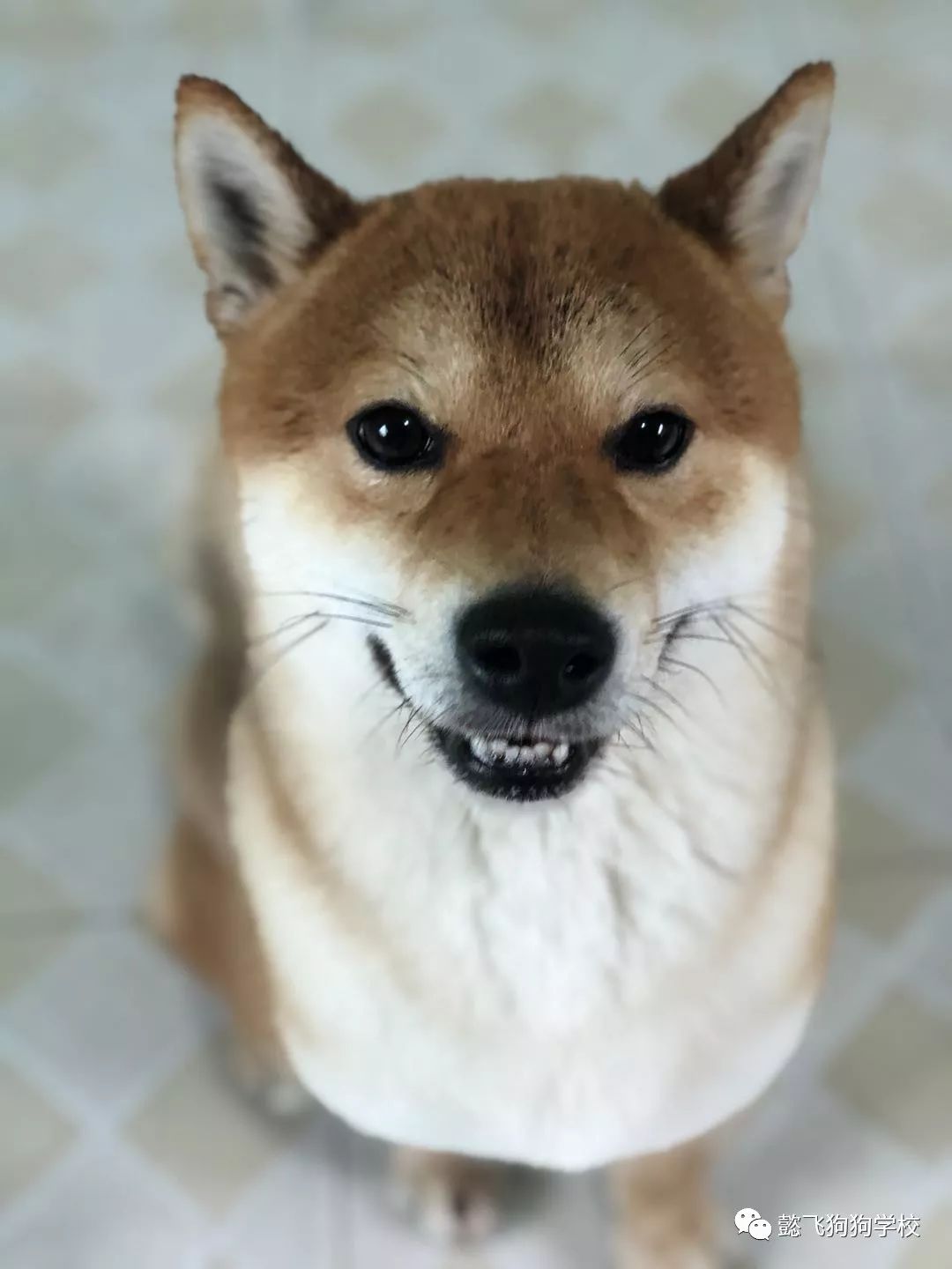 你帶著我 视频截图