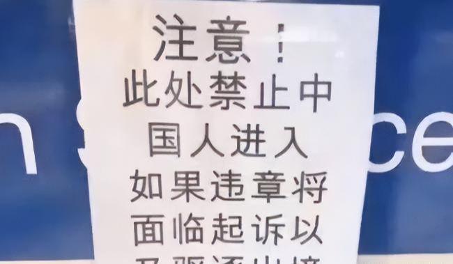 兄妹探寶 视频截图