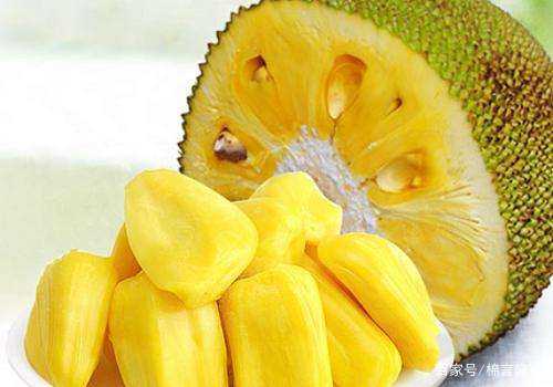 眾矢之的 视频截图