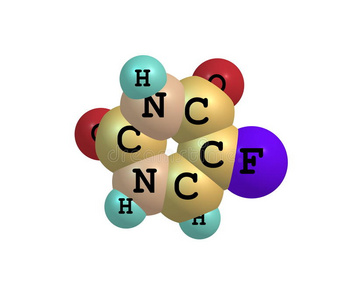 回家的路 视频截图