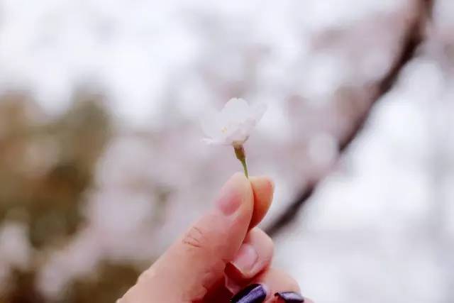 偷天陷阱 视频截图