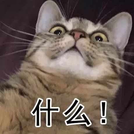 你好現任 视频截图