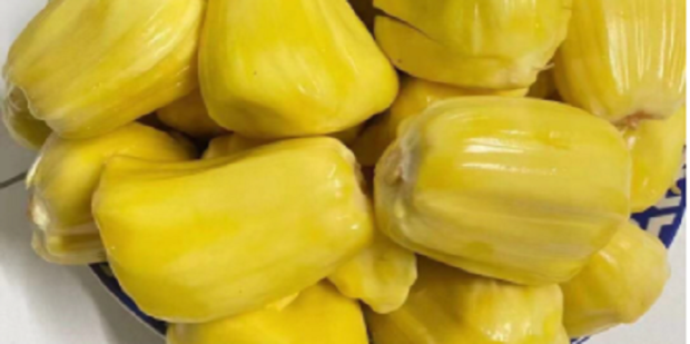 體育皇後1934 视频截图