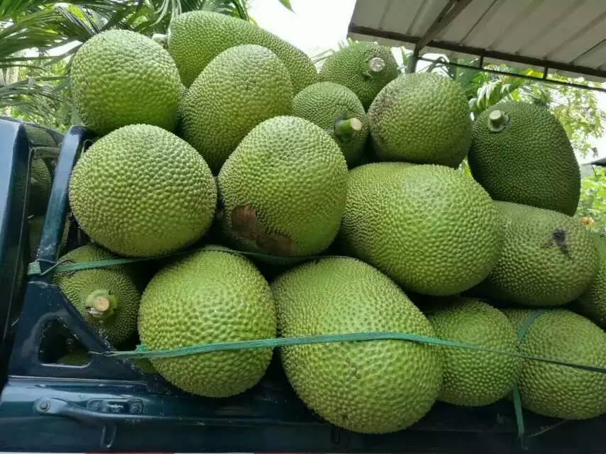 俠女修仙傳 视频截图