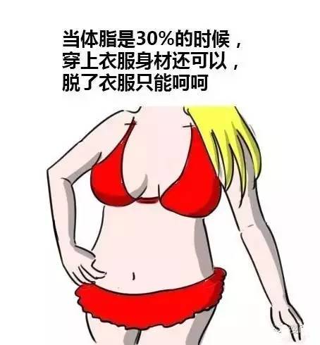 他是貓之貓妖詛咒 视频截图