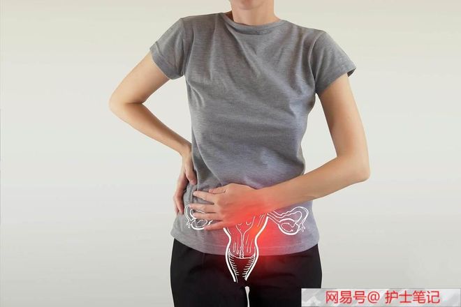 你好，之華 视频截图