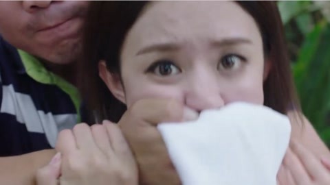 四大名捕大結局（國語版） 视频截图