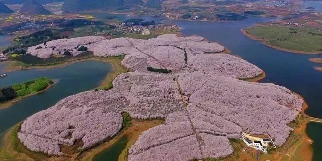 你是彼方 产品图片