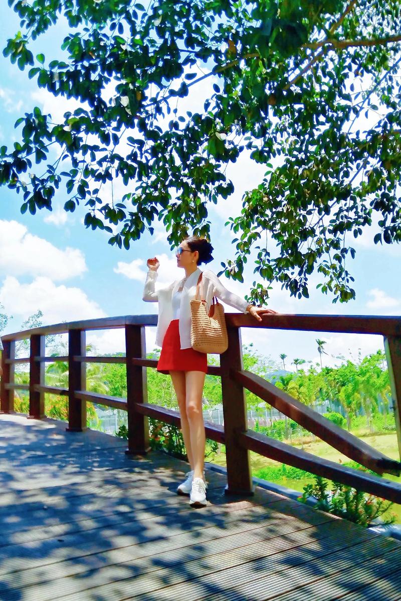 侏羅紀寵物曆險記：重返野外