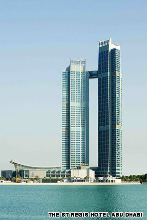 複仇保姆 视频截图