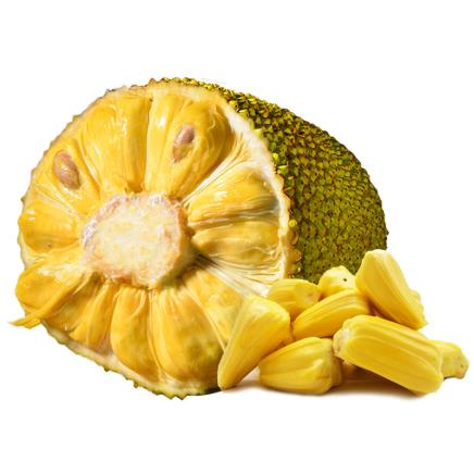 修複體 视频截图