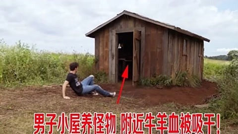 史密斯先生到華盛頓 视频截图