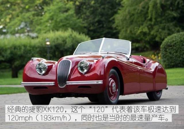 傾城之淚 视频截图