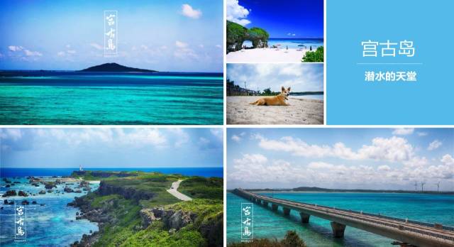 像素大戰 视频截图