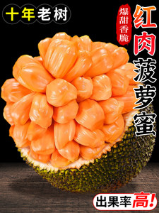 你好，之華 视频截图