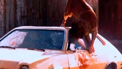 他是貓之貓妖詛咒 视频截图