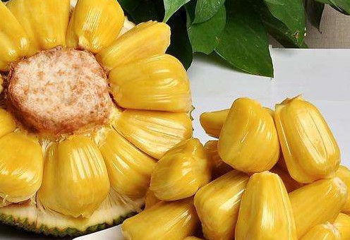 不可思議的海岸物語