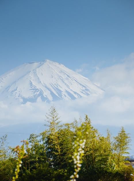 佩小姐的奇幻城堡（國語版） 视频截图