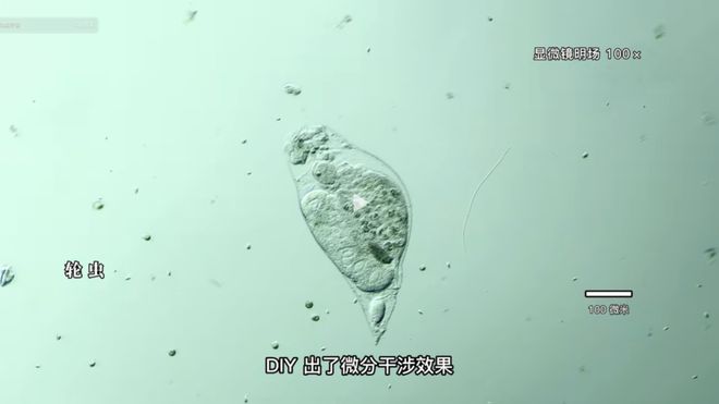 傷心往事 视频截图