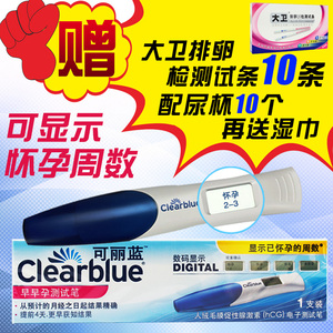 偷天陷阱 视频截图