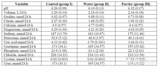 傻冒經理 视频截图