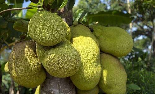 假裝情侶 视频截图