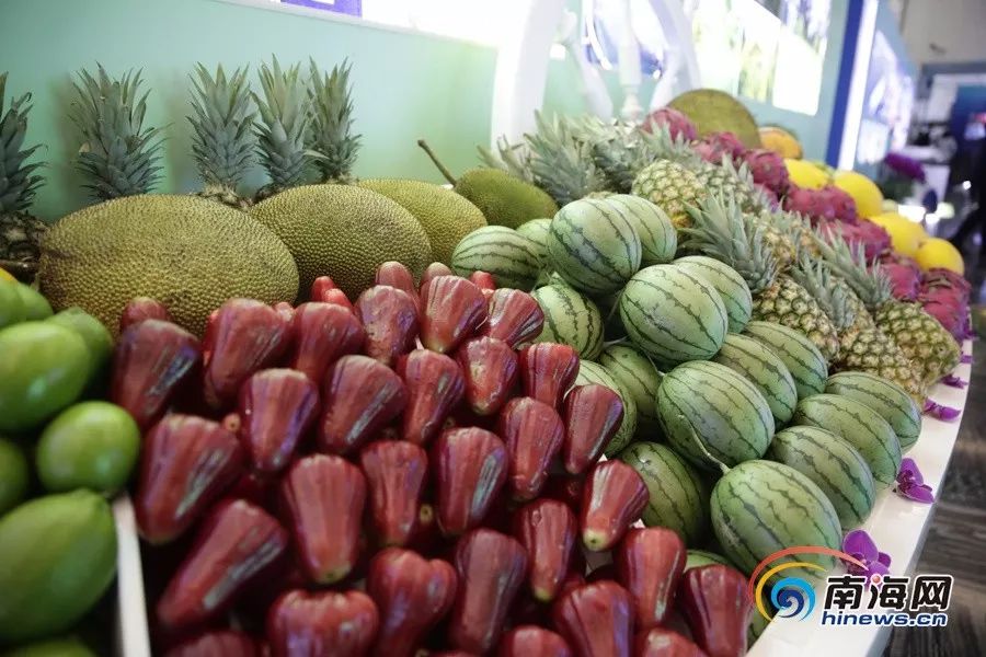 他是貓之貓妖詛咒 产品图片