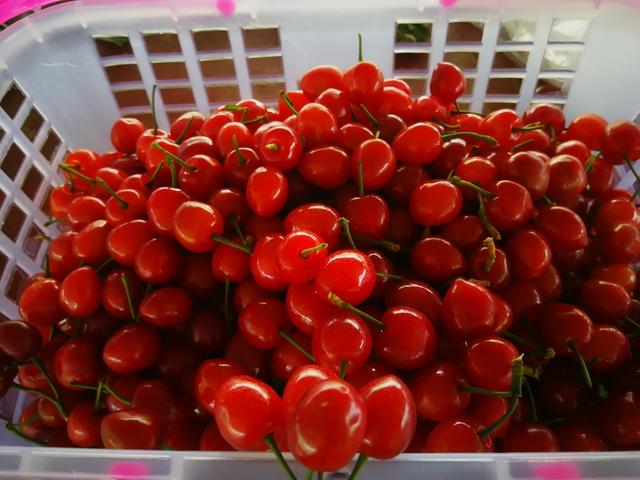 倫敦稚戀 视频截图