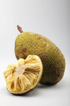 O記三合會檔案(粵語版)