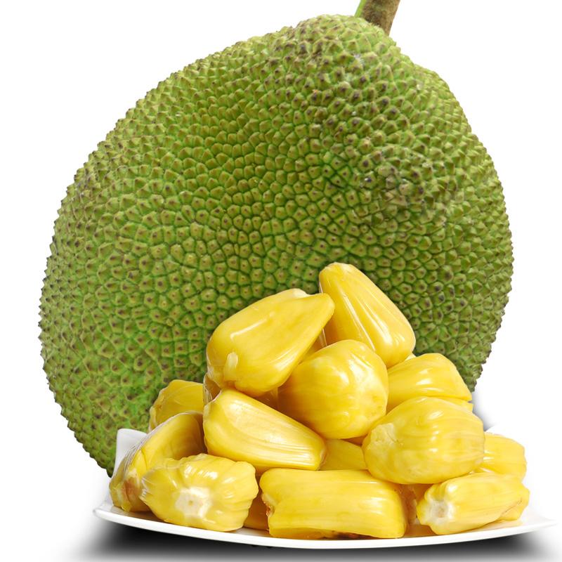 僵屍 2013 视频截图