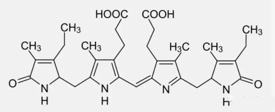 你追我趕 视频截图