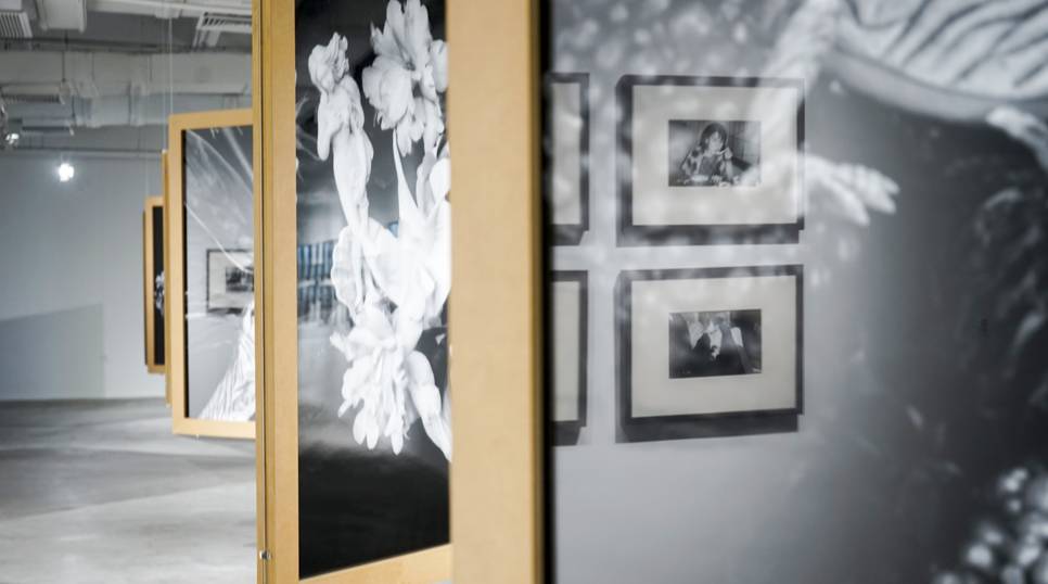 偽叛國者 视频截图