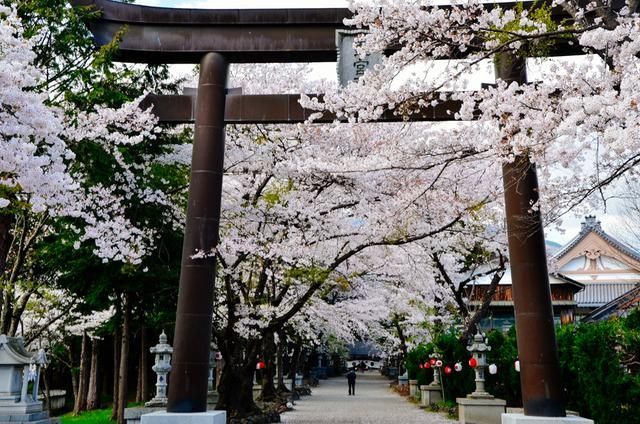 他，我們見過 视频截图