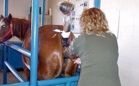 回到荒野 视频截图