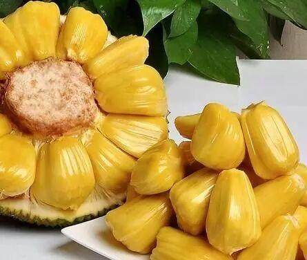 俘虜國度 视频截图