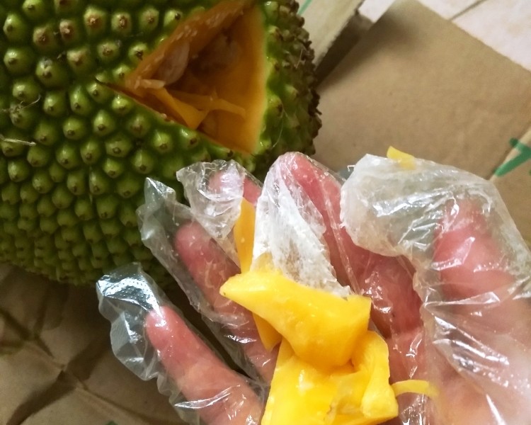 僵屍驅離劑 视频截图