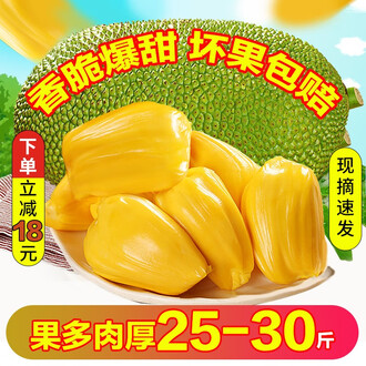 優雅女子 视频截图