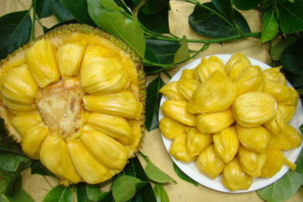 你我所見 视频截图